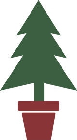 Christmas Trees | Santa's Farm